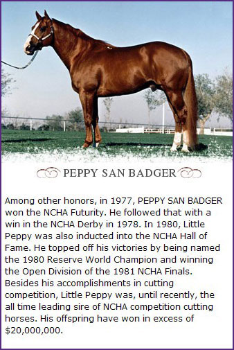 Peppy San Badger